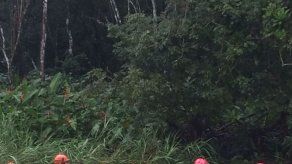 Suben a cuatro los muertos en Panamá por huracán Otto