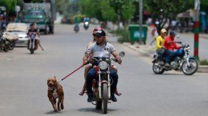 Naciones Unidas alerta de nuevo desplazamiento en el Catatumbo colombiano