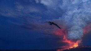 Disminuye intensidad de erupción de volcán en Galápagos