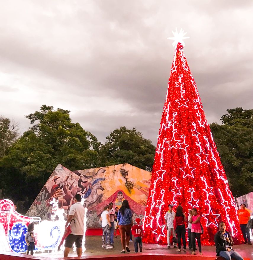 Vistas del Parque Omar.