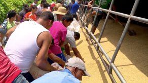 Camión que transportaba arroz se vuelca en Chame