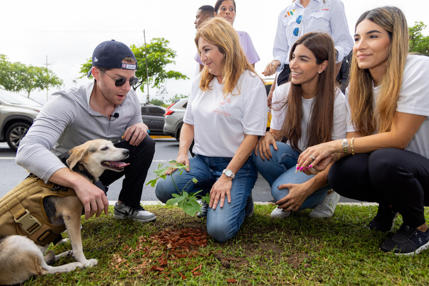 Mayer Mizrachi planta 1