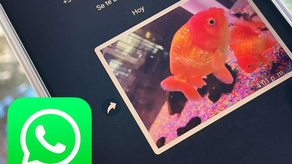 WhatsApp: Trucos para enviar imágenes HD sin bajar calidad