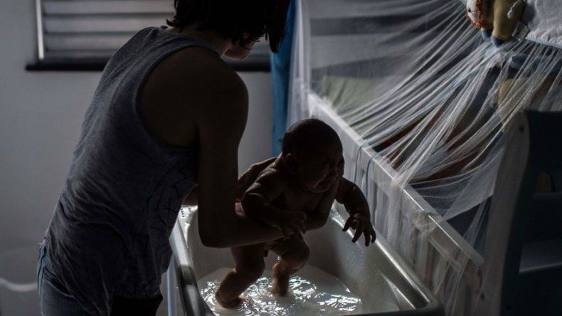 Descubren nuevas pistas sobre cómo el zika afecta al feto