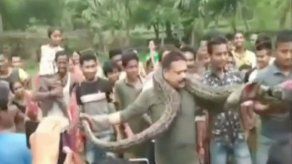 Guardia forestal indio escapa por poco al estrangulamiento al posar con una pitón