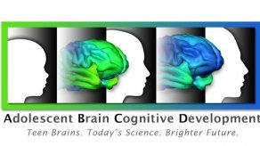 EEUU se aboca al mayor estudio hasta la fecha del cerebro adolescente