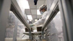 Los hongos también sirven de material de empaque