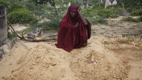El Consejo de Seguridad se centró en la inseguridad alimentaria inducida por los conflictos y el riesgo de hambruna en Etiopía, el noreste de Nigeria, Sudán del Sur y Yemen.