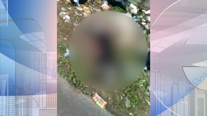 Tres perros fueron asesinados a machetazos en Colón, moradores piden justicia