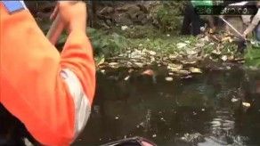 Intentan rescatar el lago de Los Andes