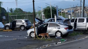 CCIAP condena vandalismo en Bocas del Toro
