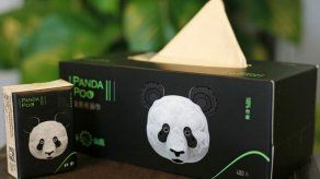 Empresa china transforma la caca de panda en pañuelos de papel
