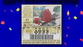 Lotería de Panamá: Horario y cómo ver el sorteo del 15 de junio de 2022