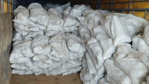 Contrabando de pixbae y ñame en Chiriquí