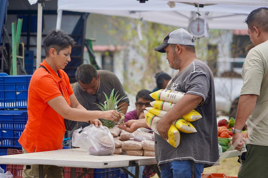 Agroferias del IMA&nbsp;