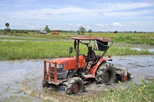 La aparición de la agricultura hizo más frágiles los huesos humanos