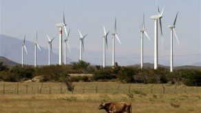 Mayor parque eólico de A.Central produjo el 7 % de energía de Panamá en 2016