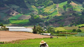 Volcán se prepara para el debate presidencial agropecuario.