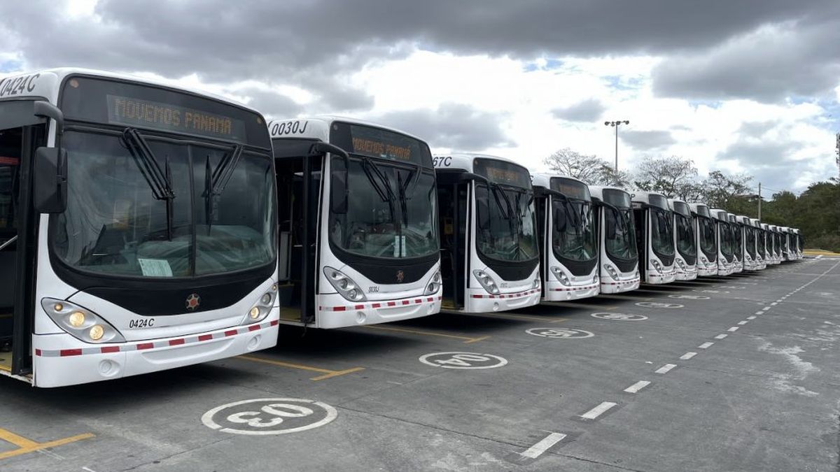 Algunas Rutas De Metro Bus Tendrán Desvíos Durante Los Desfiles De ...