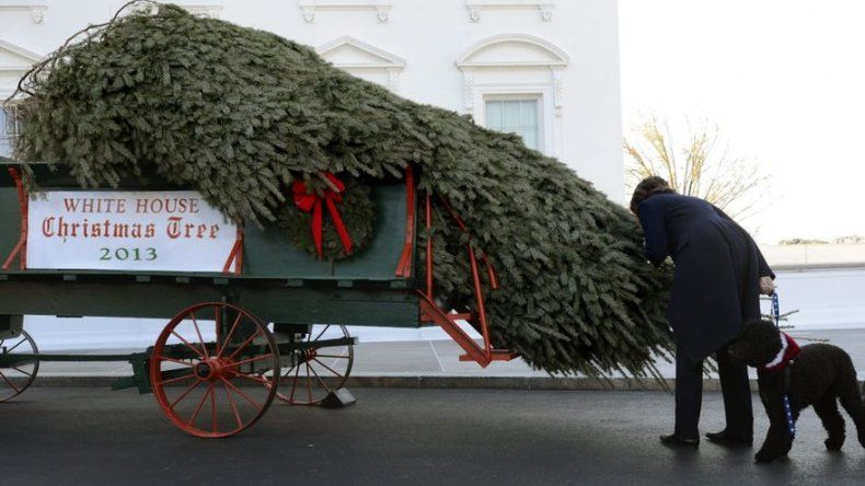 Michelle Obama y sus hijas reciben el árbol de Navidad de la Casa Blanca