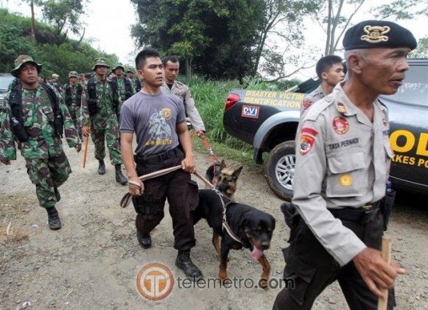 Imágenes impactantes de la semana