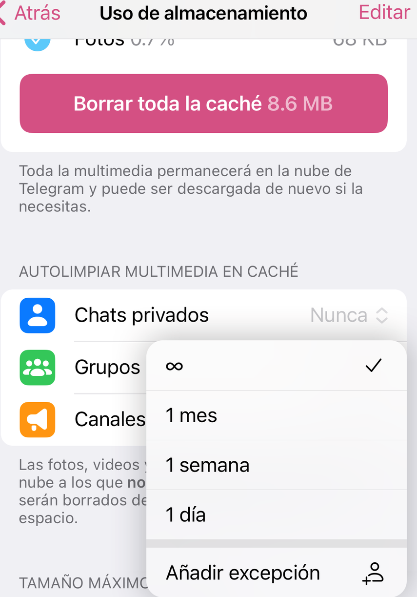 Elige el tiempo se duración de los archivos en autolimpiar multimedia de caché.