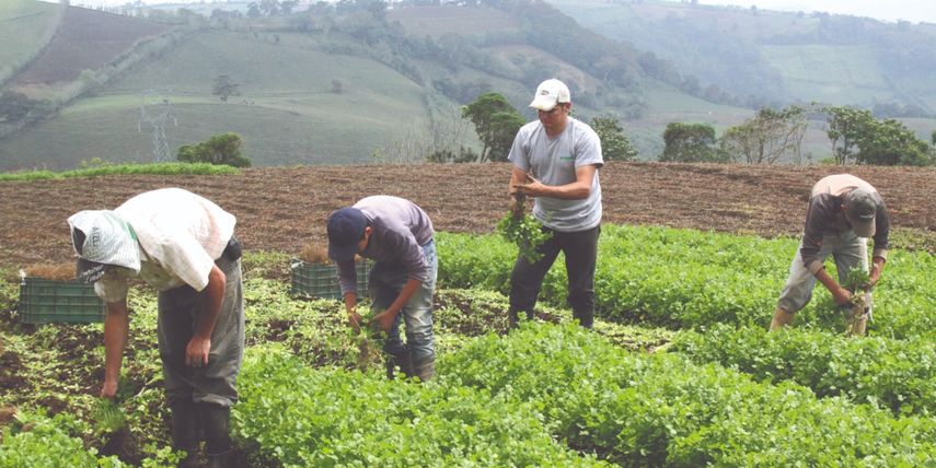 Minera Panamá: Productores solicitan el paso por las vías cerradas.