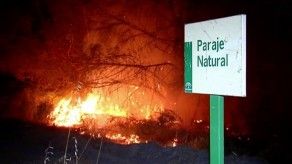 Incendio causa estragos en parque natural de España