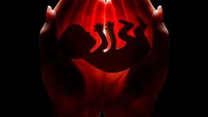 Hallan tres bebés congelados y la madre reconoce que los ahogó