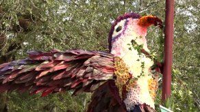 Realizan la séptima edición de la Parada de Las Flores en Tierras Altas