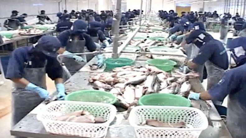 AUPSA y Minsa retiran del mercado el filete de bagre importado de Vietnam