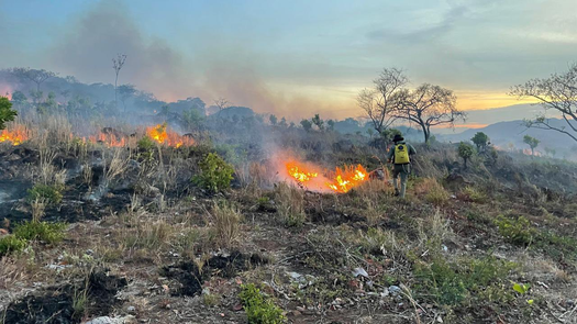 MiAmbiente activa plan contra incendios forestales MiAmbiente activa plan contra incendios forestales