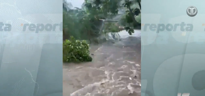 ¡Alarmante! Locales en Bajo Boquete