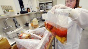 EU: brote de salmonela vinculado a tomates