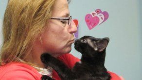 ¡Qué mala suerte! El 2015 tiene tres viernes 13