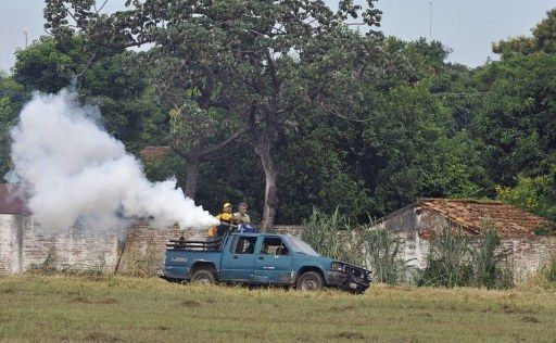 Autoridades sanitarias confirman 36 casos de dengue en Paraguay