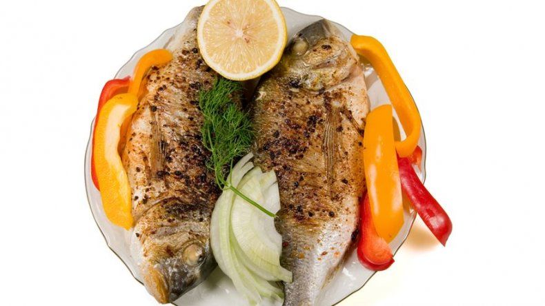 Chile quiere ser un país acuicultor impulsando especies como la corvina