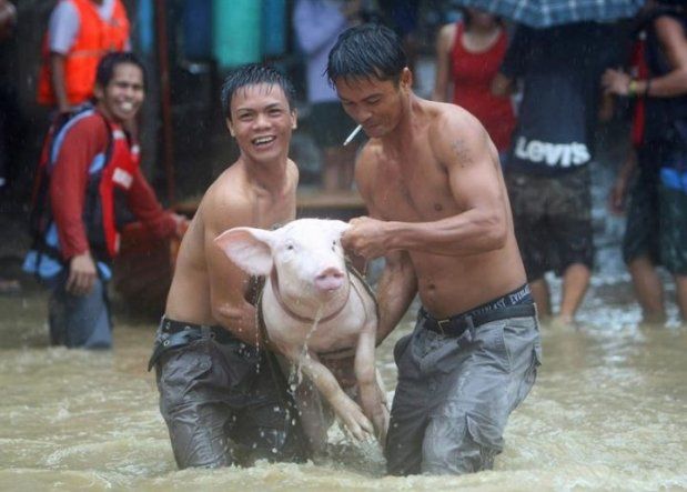 Tifon Nesat azota Filipinas