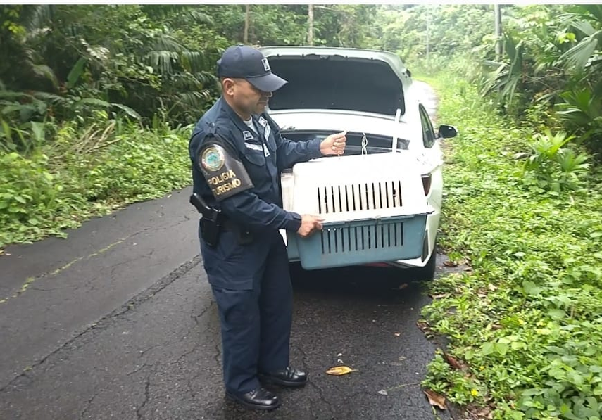 Reubicación de fauna silvestre a su hábitad Reubicación de fauna silvestre a su hábitad