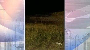 Detectan cerca perimetral de La Joyita vandalizada