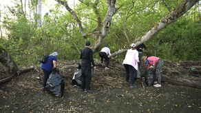 Jornada de limpieza en Darién Jornada de limpieza en Darién