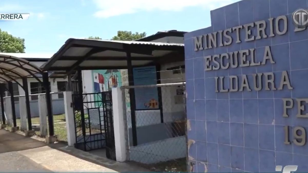 Plaga de pulgas obliga a suspender clases en escuela de Pesé.