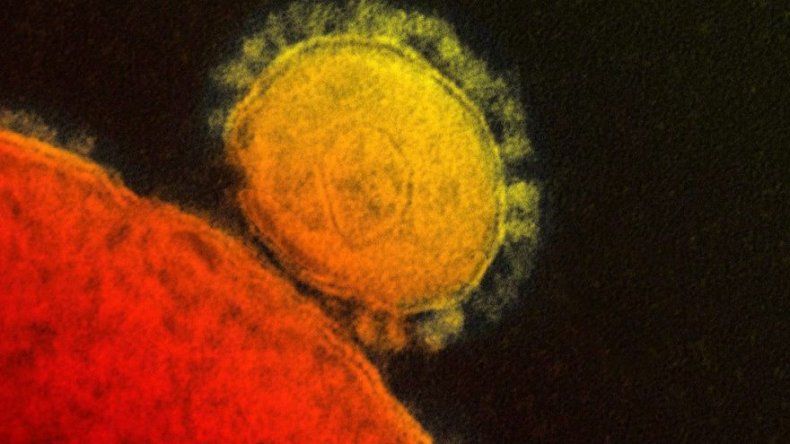 EEUU confirma su primer caso de virus MERS