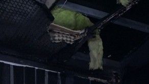 Vandalizan comercios que permanecen cerrados por pandemia
