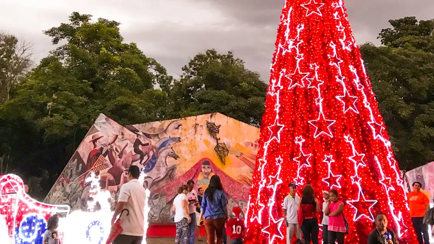 Encendido de arbolito del Parque Omar