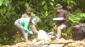 Extracción de Oro en Guna Yala, detienen a dos personas Extracción de Oro en Guna Yala, detienen a dos personas