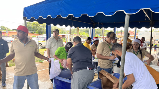 Naviferias del 4 y 5 de diciembre de 2025. Naviferias del 4 y 5 de diciembre de 2025.