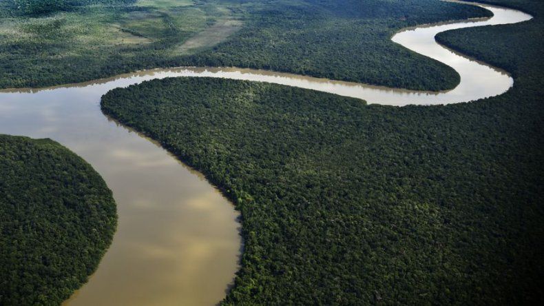 Autoridades ambientales de Colombia protegen 19,228 especies de fauna y flora