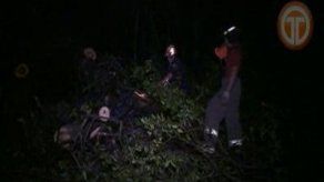 Caída de árbol provoca caos en Arraiján