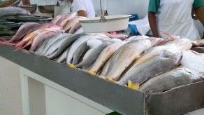 Aumenta el consumo de productos del mar por fiesta de fin de año